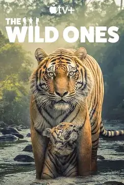 В мире дикой природы онлайн